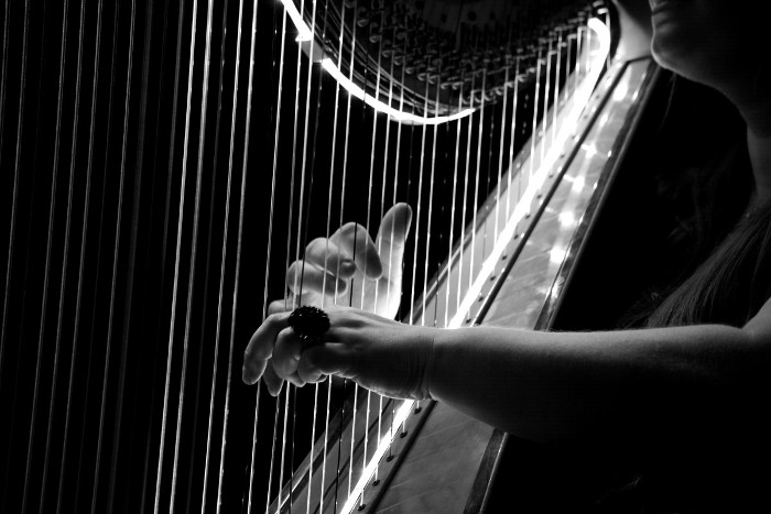 Musica, cibo e non solo a Santa Cristina