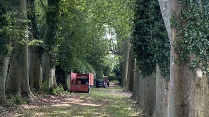 Il 1° agosto l'inaugurazione del parco del castello di Conturbia