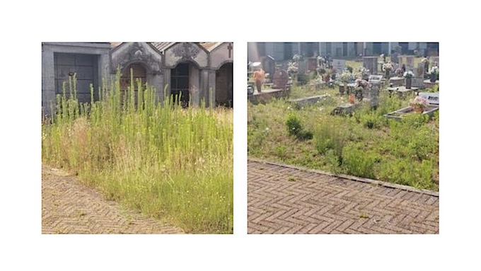 Cavaglio d'Agogna, segnalata incuria al cimitero. Il Comune sta intervenendo