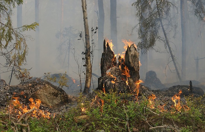 Rischio incendi boschivi in Piemonte: situazione di preallerta 