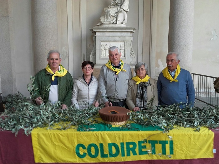Ulivo benefico la domenica delle Palme: aiuta i restauri della cattedrale di Novara