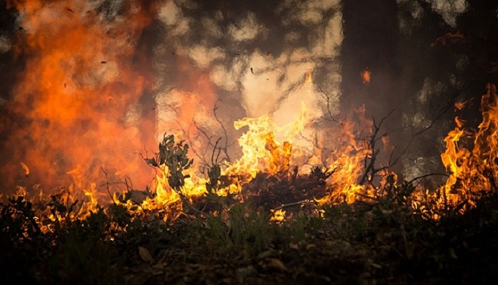 Revoca stato massima pericolosità  incendi anche per  Novara e Vco