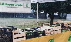 422301445 2531626253665610 1917999401802165618 n