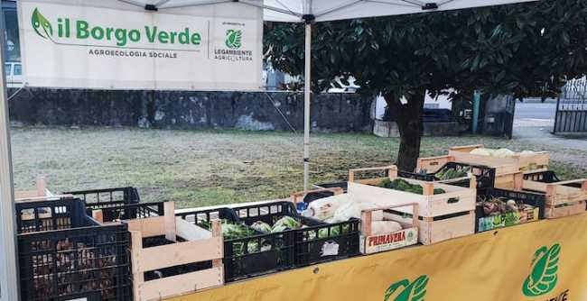 422301445 2531626253665610 1917999401802165618 n