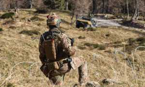 8. Geniere Alpino da copertura allunita