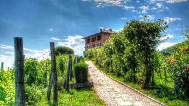 Boca Podere ai Valloni