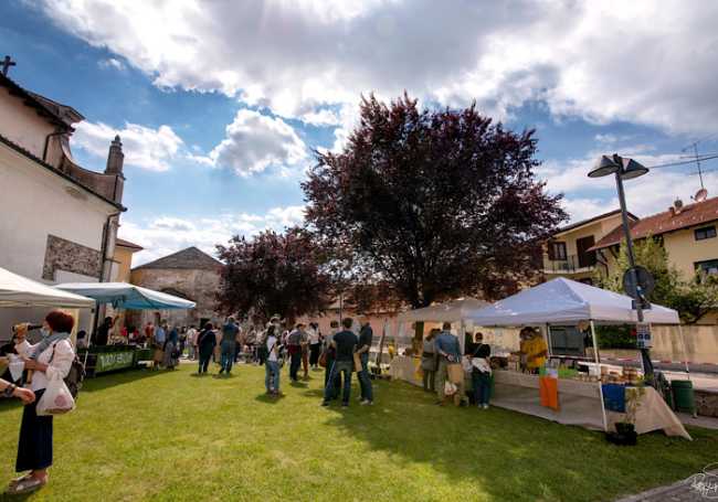 Cureggio mercato slow food
