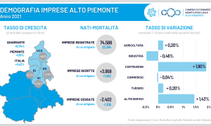 Infografica demo imprese anno2021