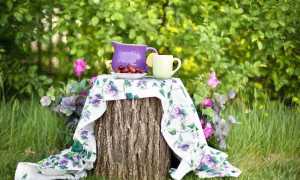 Merenda giardino the