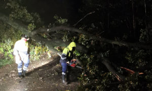 Schermata 2020 10 03 alle 15.27.57