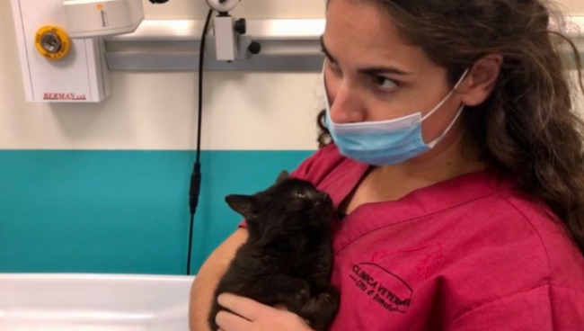 Schermata 2020 11 29 alle 11.21.24