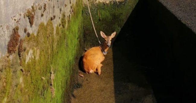 Schermata 2021 07 31 alle 18.50.52