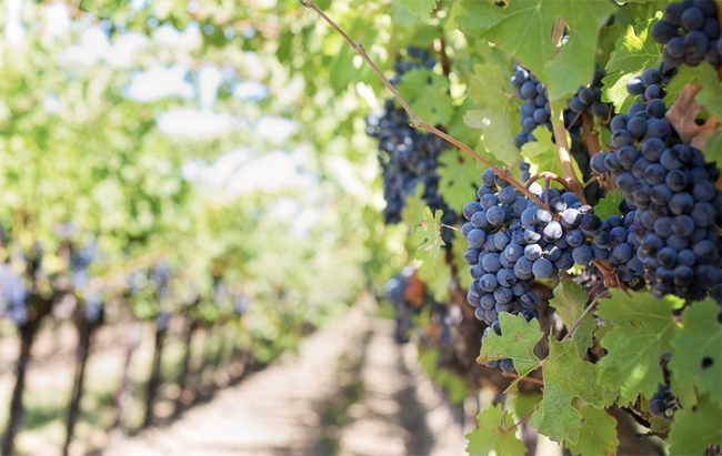 Screenshot 2023 07 01 alle 16.55.24