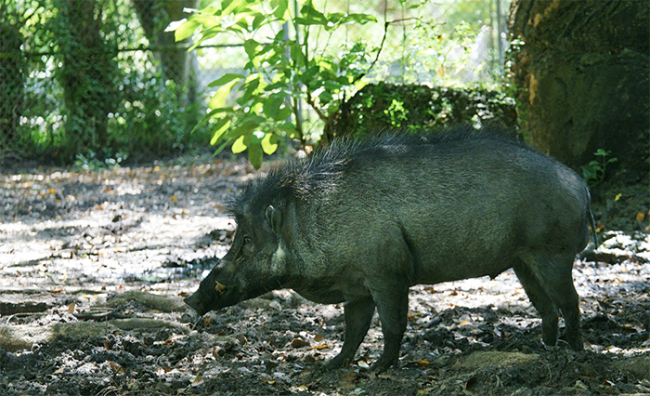 Screenshot 2024 08 11 alle 18.19.04