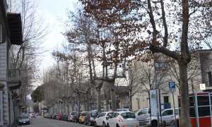Viale don Minzoni