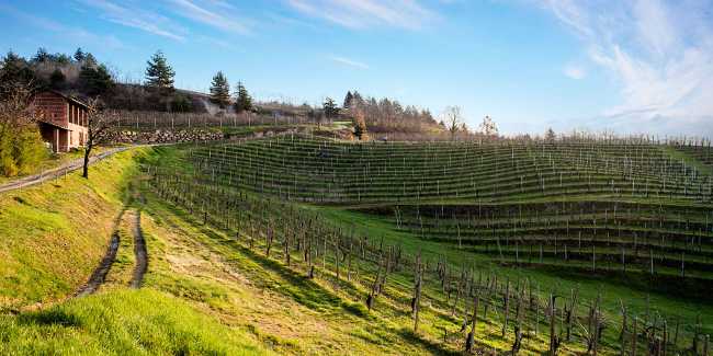 Vigneti Bramaterra Alto Piemonte