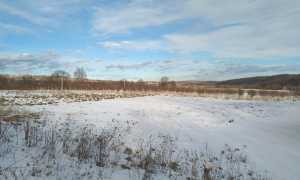 WhatsApp Image 2022 02 19 at 09.18.58