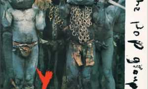 WhatsApp Image 2023 02 22 at 05.46.19