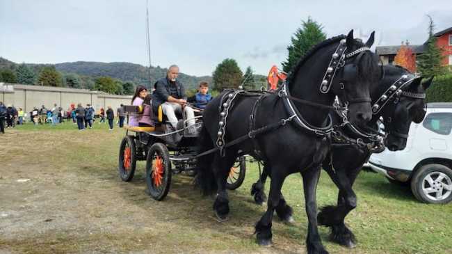 WhatsApp Image 2024 10 15 at 10.02.00