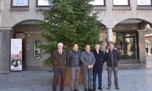 albero lions borgom 2