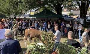 armeno fiera repertorio foto