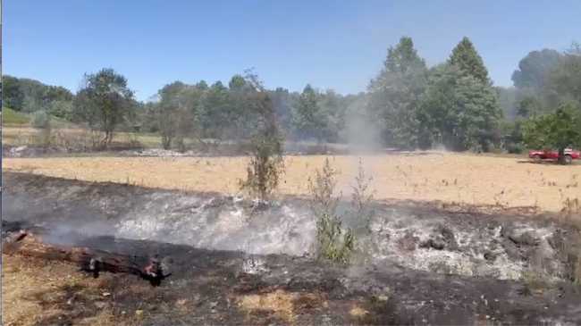 bogogno zona incendio