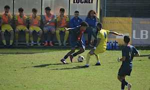 borgaro accademia borgomanero