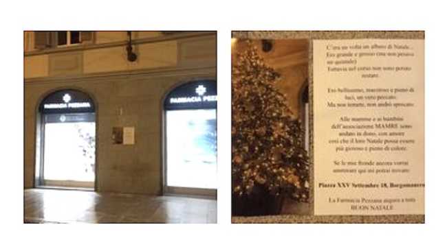 borgo albero spostato