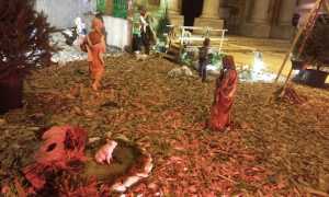 borgo maialini rubati 2