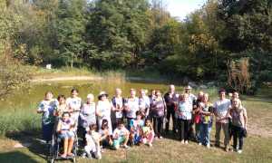 borgomanero apicoltura