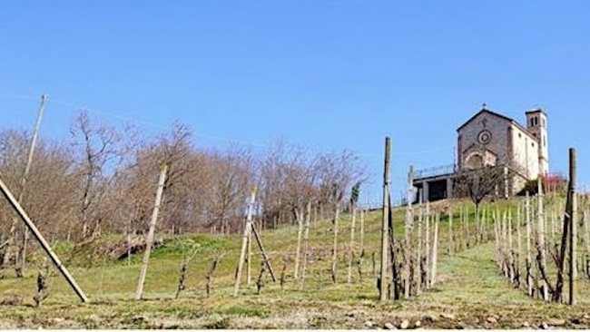 camminata s cristina cressa