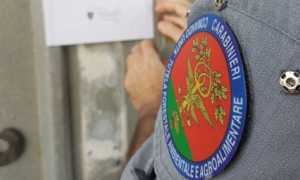 carabinieri forestale 2