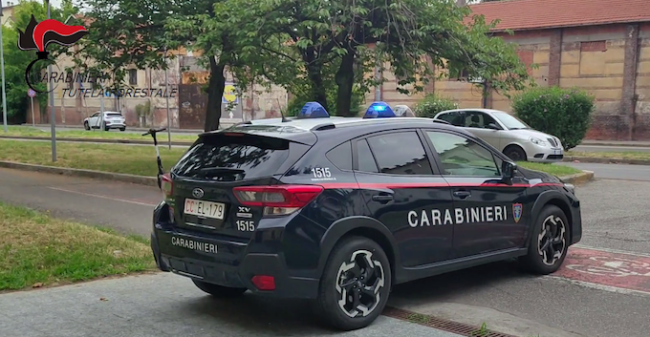 carabinieri forestale novara nuova