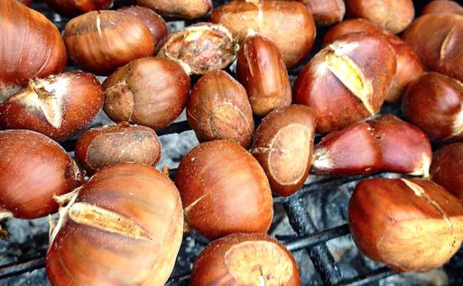 castagne griglia