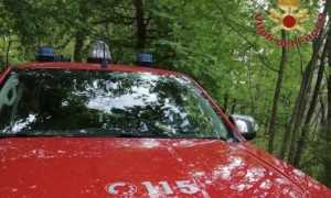 cavallirio malore morto