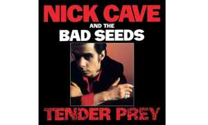 cave nick bentivoglio