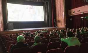 corto e fieno archivio