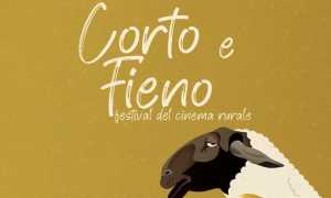 corto fieno 2