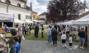 cureggio naturale repertorio