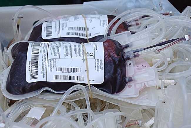 donazione sangue