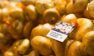 fiera cipolla bionda