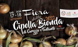 fiera cipolla fontaneto 2022