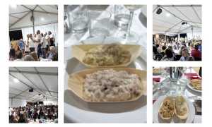 fontaneto arte sapori riso