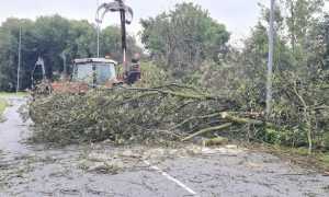 fontaneto danni maltempo aib