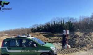 forestale carpignano sequesto