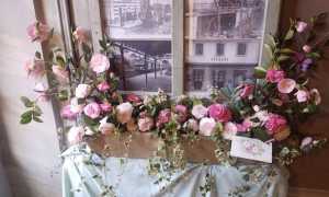 gozzano camelia 1 2023