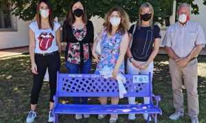 gozzano panchina viola