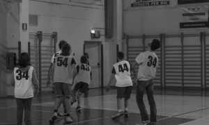 immagine Baskin credit ph. D. Gagliardi