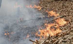 incendio brughiere gozzano