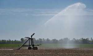 irrigazione agricoltura